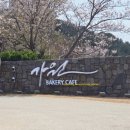 송정바다약국 이미지