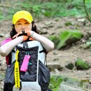심산유곡 앞 Daum카페