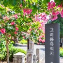 고려동유적지 이미지