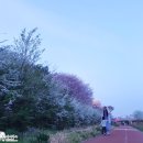 상서재로 이미지