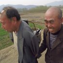 두그루나무 이미지