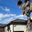 소랑제 바람 이미지