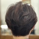 푸른솔가정의학과의원 네이버블로그