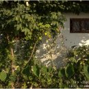 자연에너지 이미지