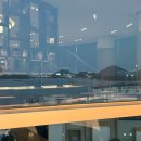 국포1로 | 여수 롯데몰 카페 노아스로스팅 솔직 후기