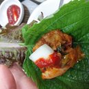 5.5닭갈비전문점 이미지