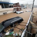 유촌교 남도일보