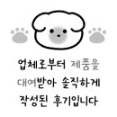 큐어시스 이미지