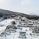 홍길동 한국일보