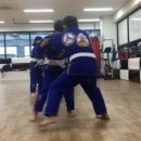 라바주짓수합기도