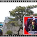 묻지마관광 이미지
