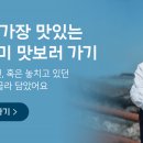시트러스디자인 이미지