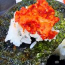 청호초등학교 | 속초 아바이마을 가자미식해 맛집 김송순아마이젓갈