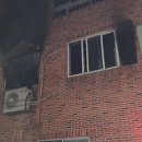 양이주택 이미지