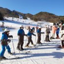 진성초등학교 이미지