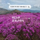 비슬산유스호스텔 | 2026 비슬산참꽃축제 참꽃풍경도 역대급, 축제 인파도 역대급(실시간 후기)