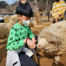 옥정목장 이미지