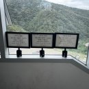 쌍용스카이(아)경로당 | [동해 여행/ 무릉별유천지 뚜벅이로 가는 법, 라벤더 개화 상황, 소요시간]_2025.06.26