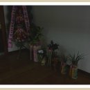 신안동주민센터-2 이미지