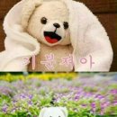 엄마손해물칼국수