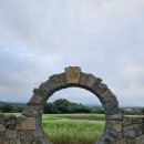 와흘메밀마을 | 제주 메밀꽃 축제│와흘 가을 메밀 문화제 입장료 무료 후기│아이와 가볼만한곳