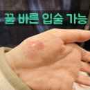 11545-05-03-04 | 올리브영 세일 추천템 이글립스 듀 글레이즈 틴트 04페어리 05소르베 03로지포엠 01베이브 발색 후기