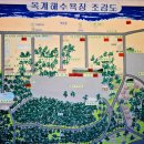 바다야영장 이미지