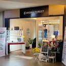 아로마포레스트 이미지