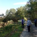 고암농장 이미지