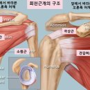 노마취통증의학과의원 이미지