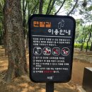양재근린공원 농구장