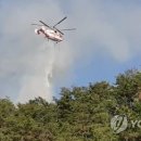 제천 송학산서 산불…사유림 0.3㏊ 소실 이미지