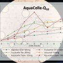 유화약국 이미지