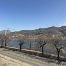 더메이르