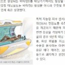 듀오샵코리아 네이버블로그