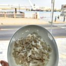 보리카매니아 | 대포항 맛집 옥이네횟집 현지인이 즐겨찾는 옥이네횟집 특별한 회맛(전복치, 복어, 자연산광어, 오징어)