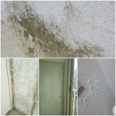 동산동 제일오투그란데 이미지