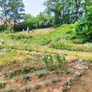 안산김씨 사재감정공파 묘역 이미지