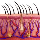 미인의원 이미지