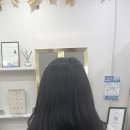 따옴붙임머리