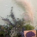 카페돌옷 이미지