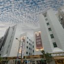 국제모텔 | 운서역 모텔 인천국제공항 숙소 인천 브라운도트 공항신도시점 다녀온 후기