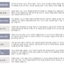 비전아이비