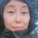 금성면 와룡길 전남 네이버블로그