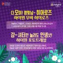 하이원트래블 이미지