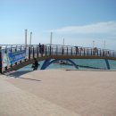 대천항 활어판매장 이미지