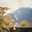 패턴아트 젠탱글 이미지