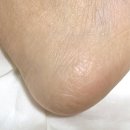 봉쥬르베베
