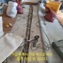 청솔(관) 이미지