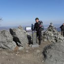 낙동농장 이미지